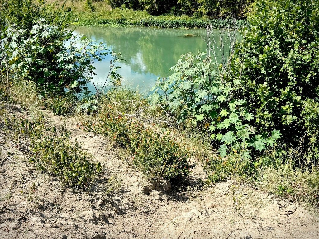 Picture 6