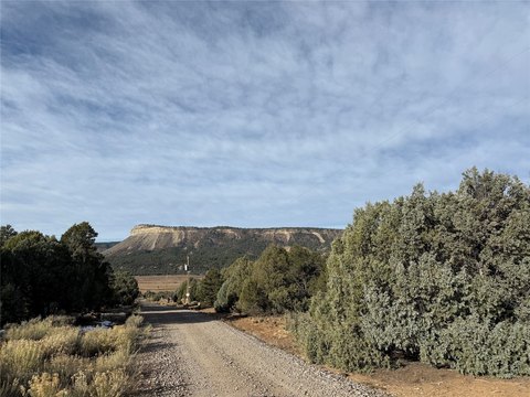 Vacant Lot in Pinon Ridge