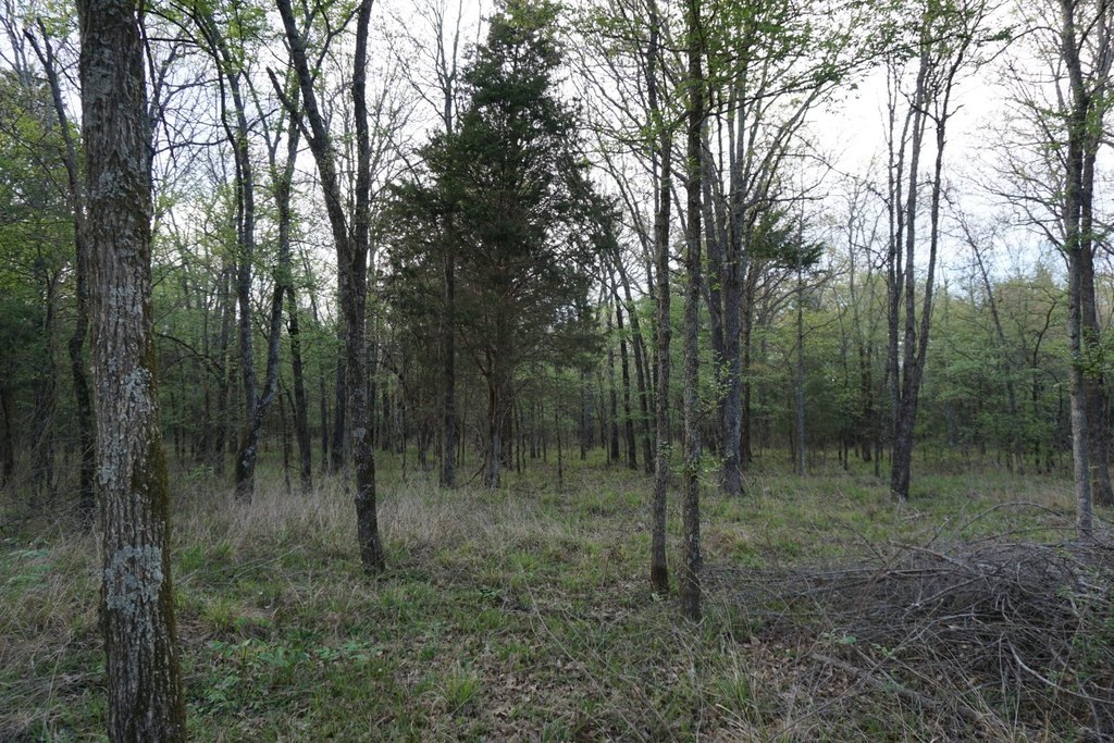 Picture 4