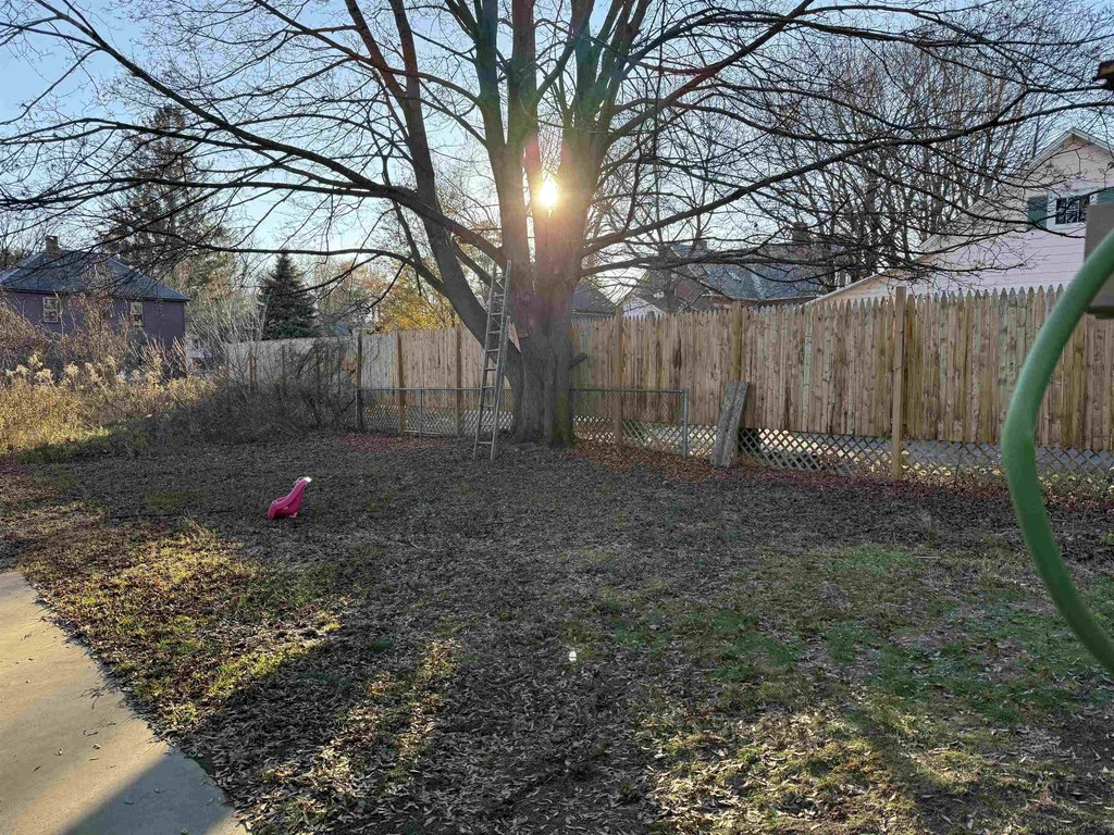 Picture 25