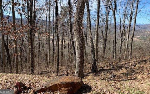 Land with Mountain Views