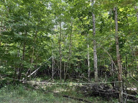VACANT LAND, Florence T-WI, WI