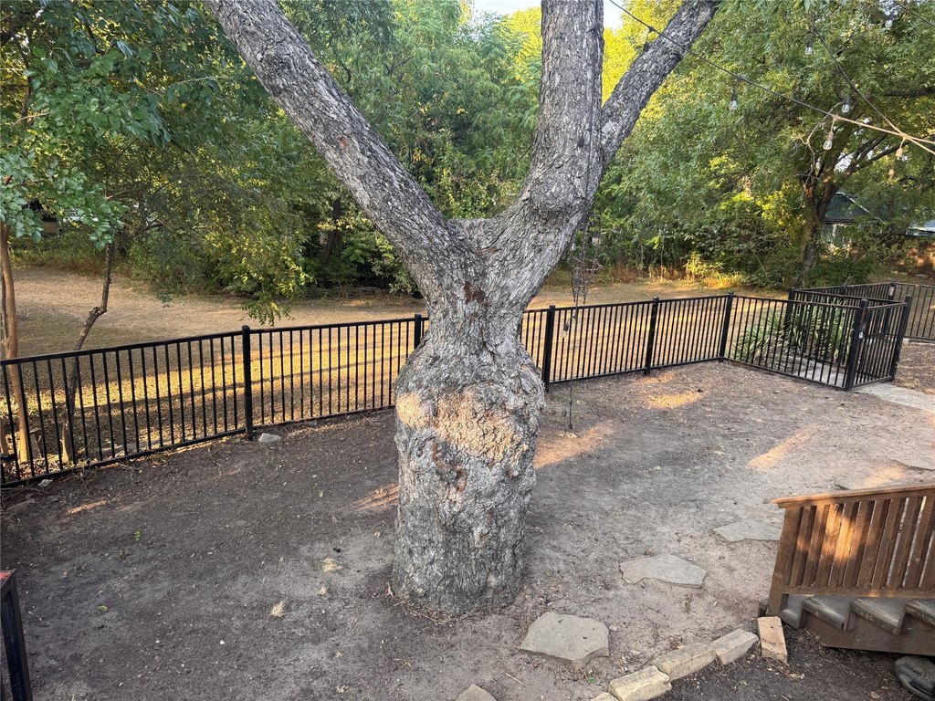 Picture 23