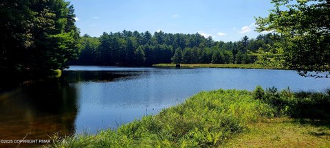 Land, Dingmans Ferry, PA