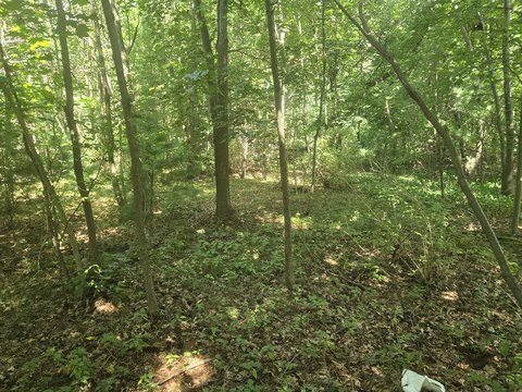 Whitehall Land Near Expressway