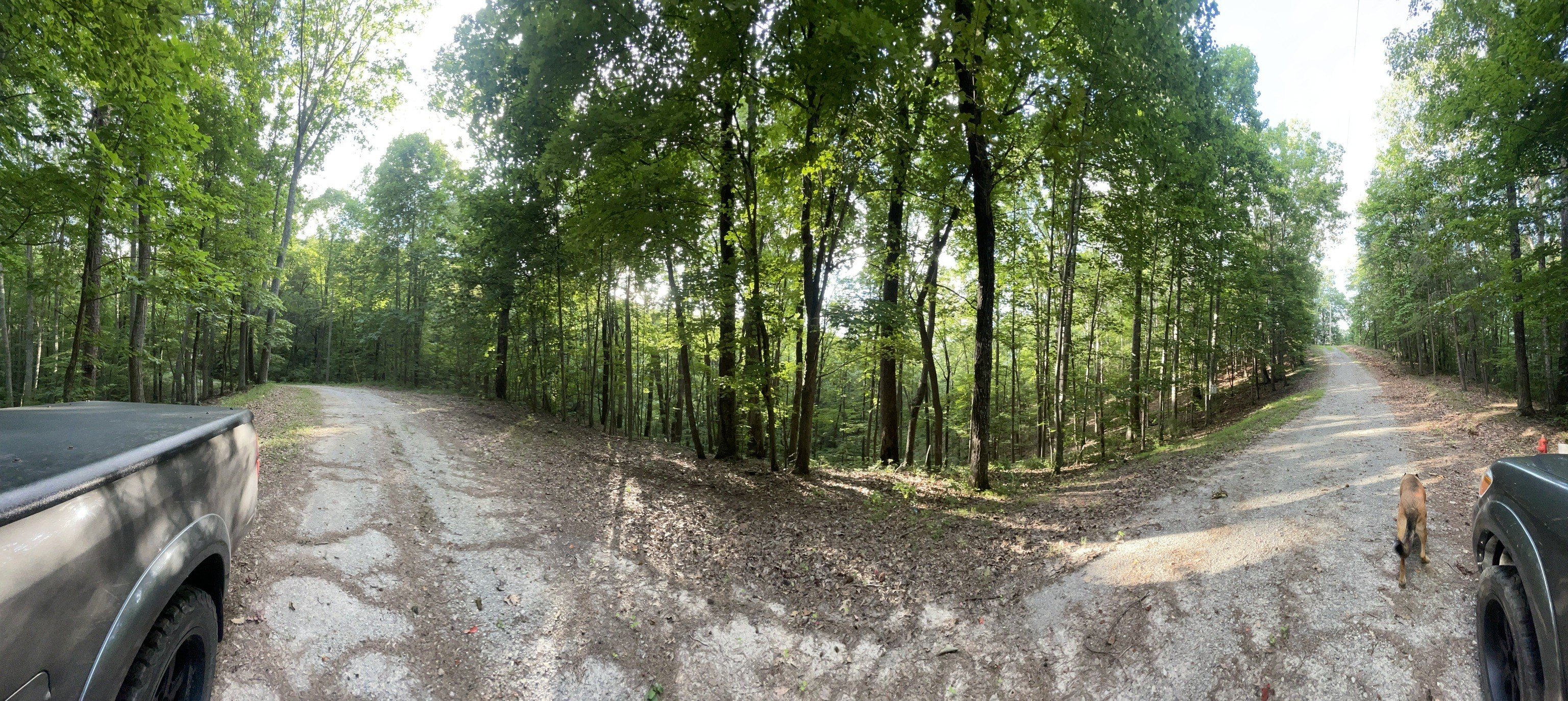 Ranger, GA Secluded Land