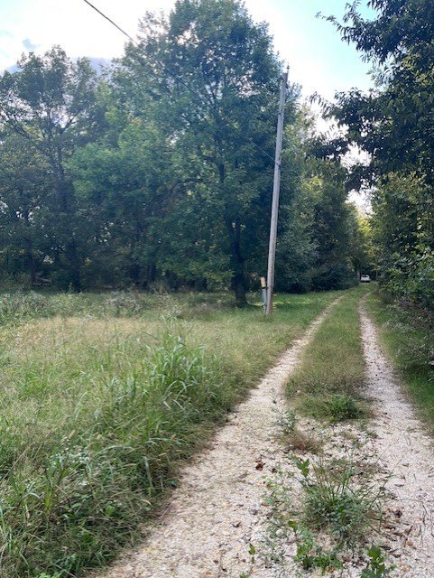 Picture 4