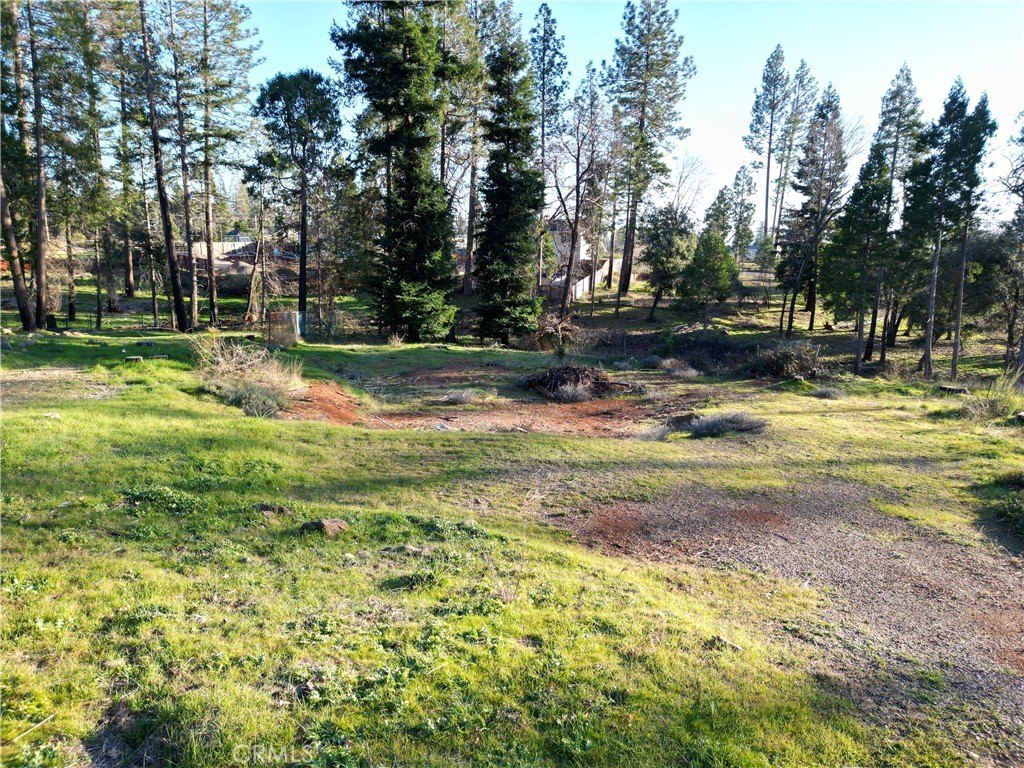 Scenic Vacant Lot in Magalia
