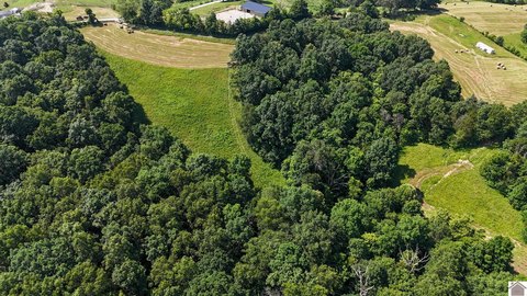 Recreational Hunting Land with Road Frontage