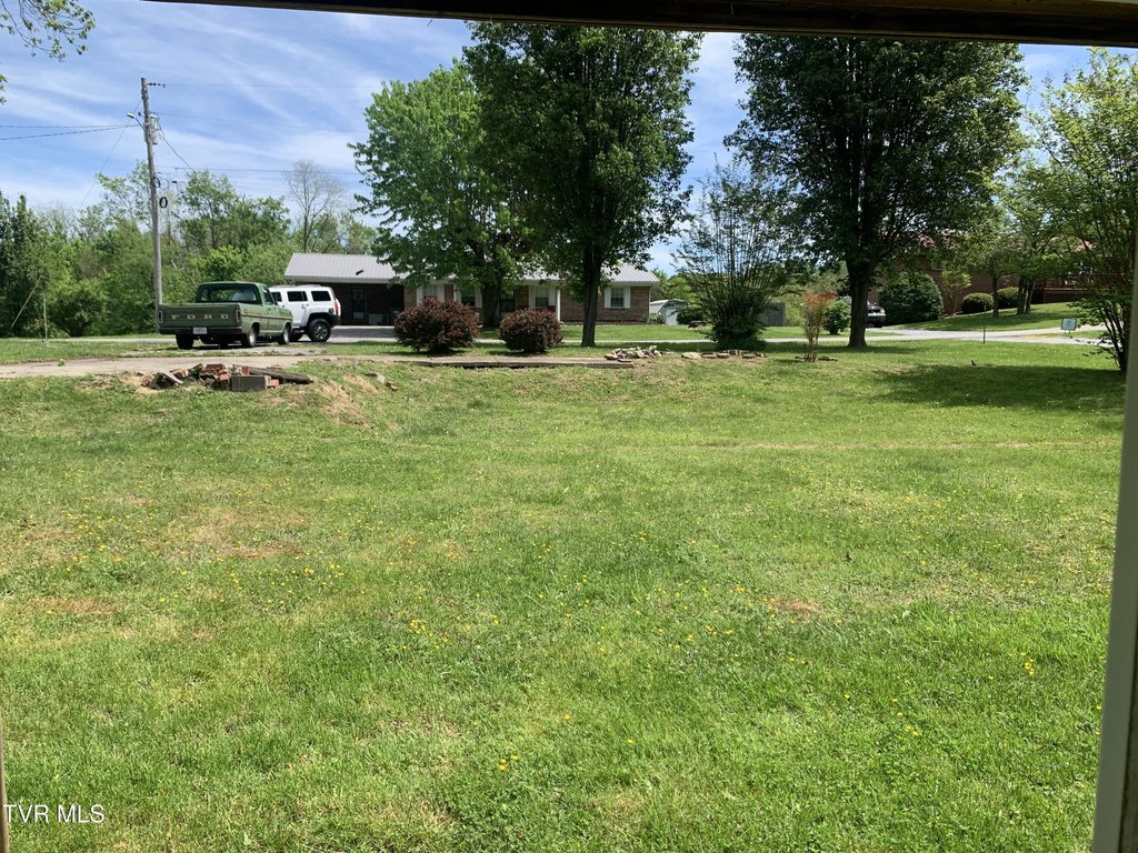 Picture 12