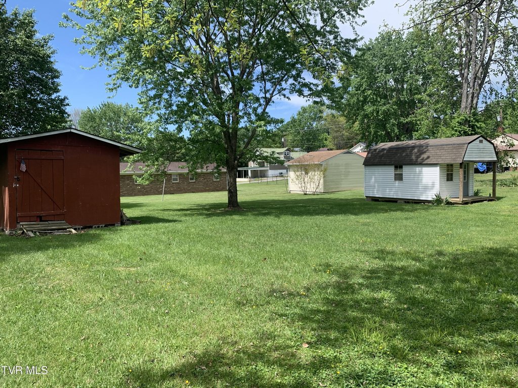 Picture 19