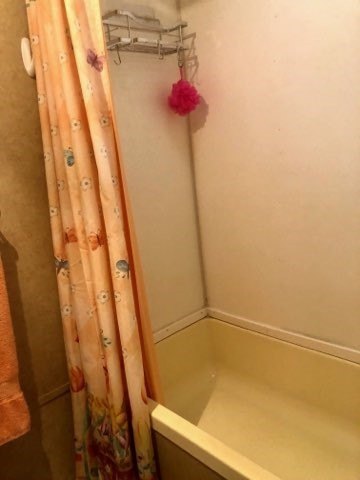 Picture 29