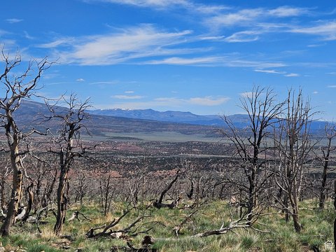 Land with Mountain Views