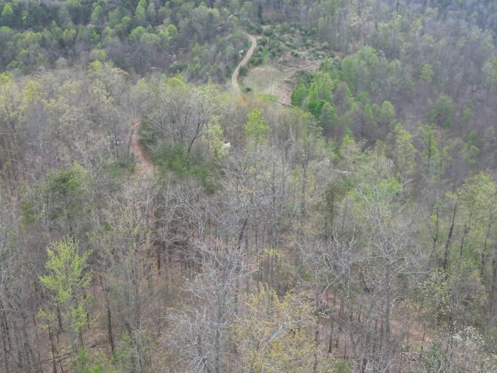 Picture 10