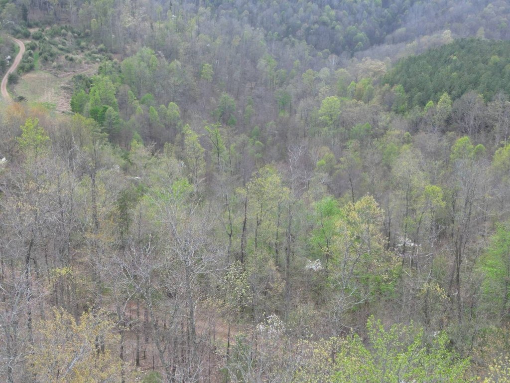 Picture 2