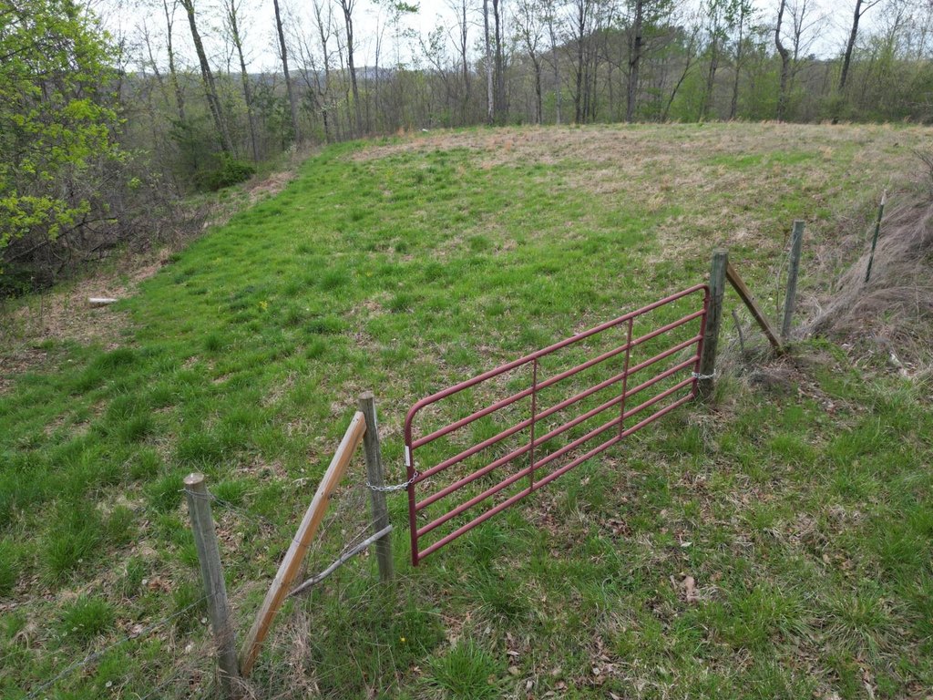 Picture 9
