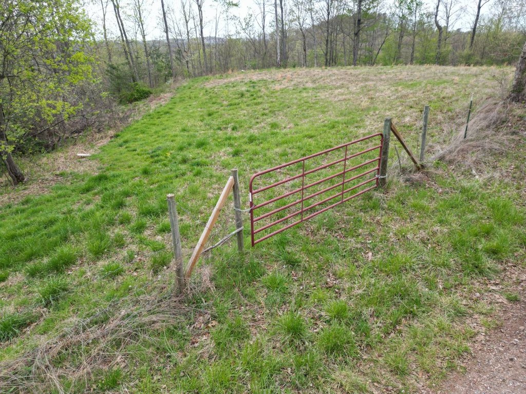 Picture 8