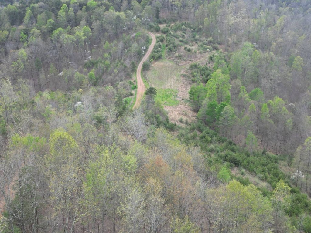 Picture 3