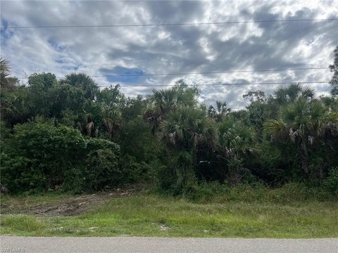 Residential Land in Naples, Florida