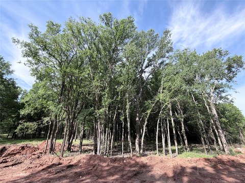 Residential Land in Whitney, Texas