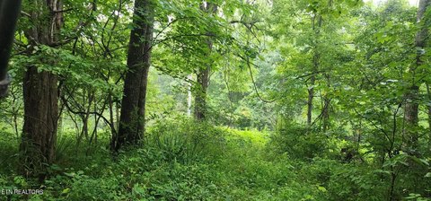 Lots & Acreage, Pioneer, TN