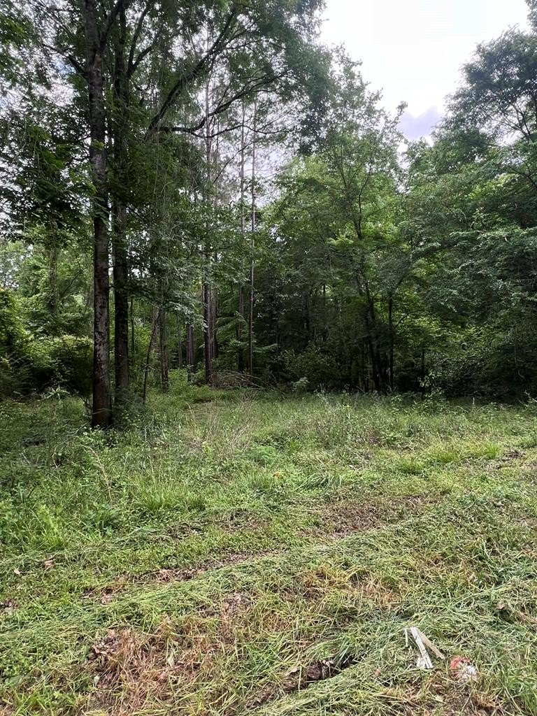 Wooded Lots in Jasper, TX