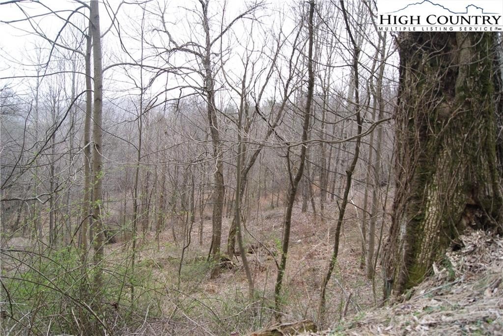 Wooded Land in Laurel Mountain Estates