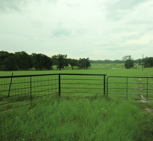 Picture 3