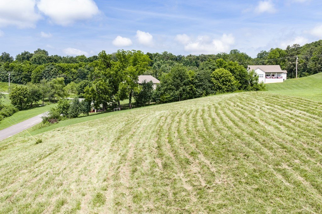 Picture 7