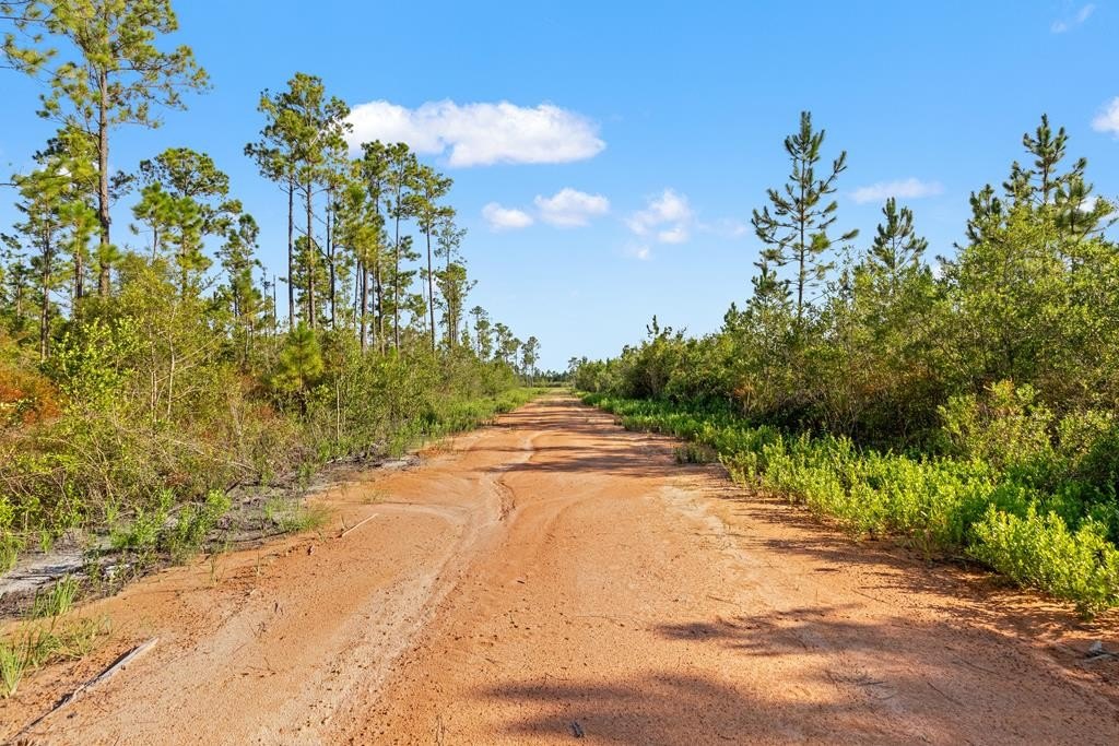 Fountain, Florida 10-Acre Land Parcel
