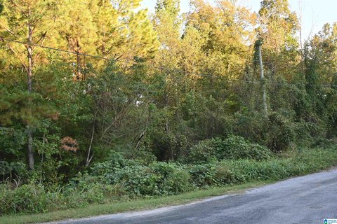 LAND/LOTS, CLEVELAND, AL