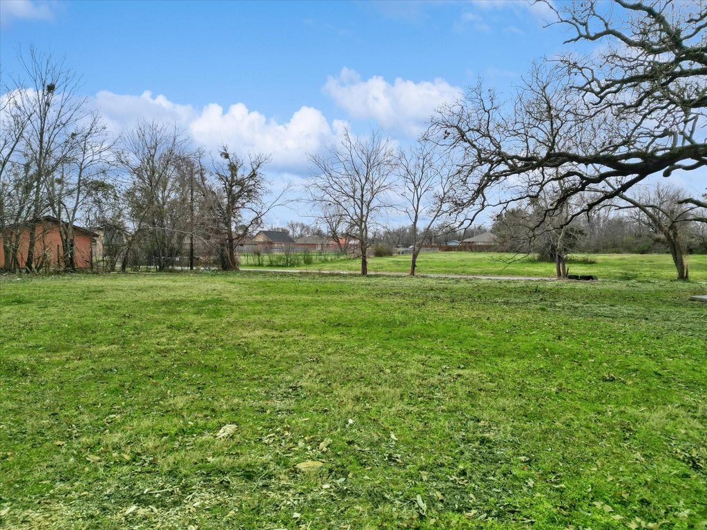 Picture 3