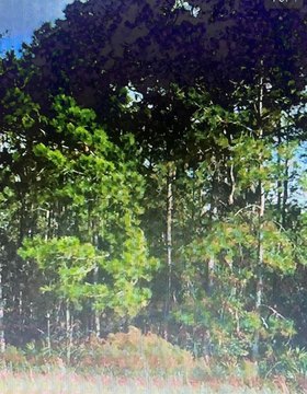 Countryside Land Parcel