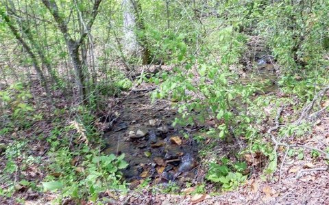 Land Backing Chattahoochee National Forest