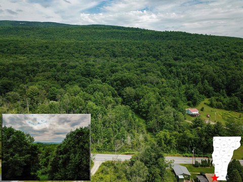 Wooded Residential Development Land