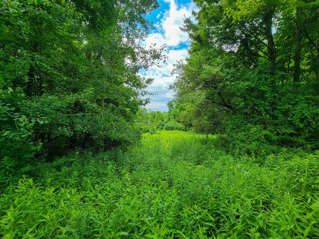 Picture 7