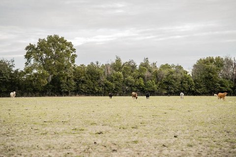 Chiefland Land Parcel For Sale