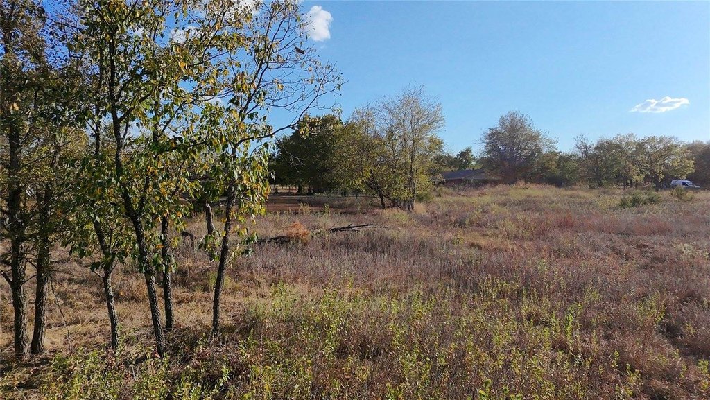 Picture 21