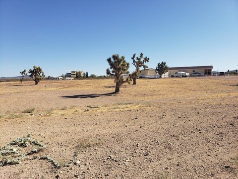 Land, WHITE HILLS, AZ