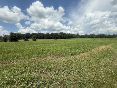LAND - Jamestown, KY