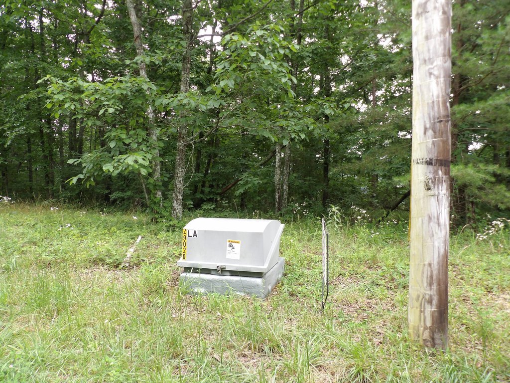Picture 3
