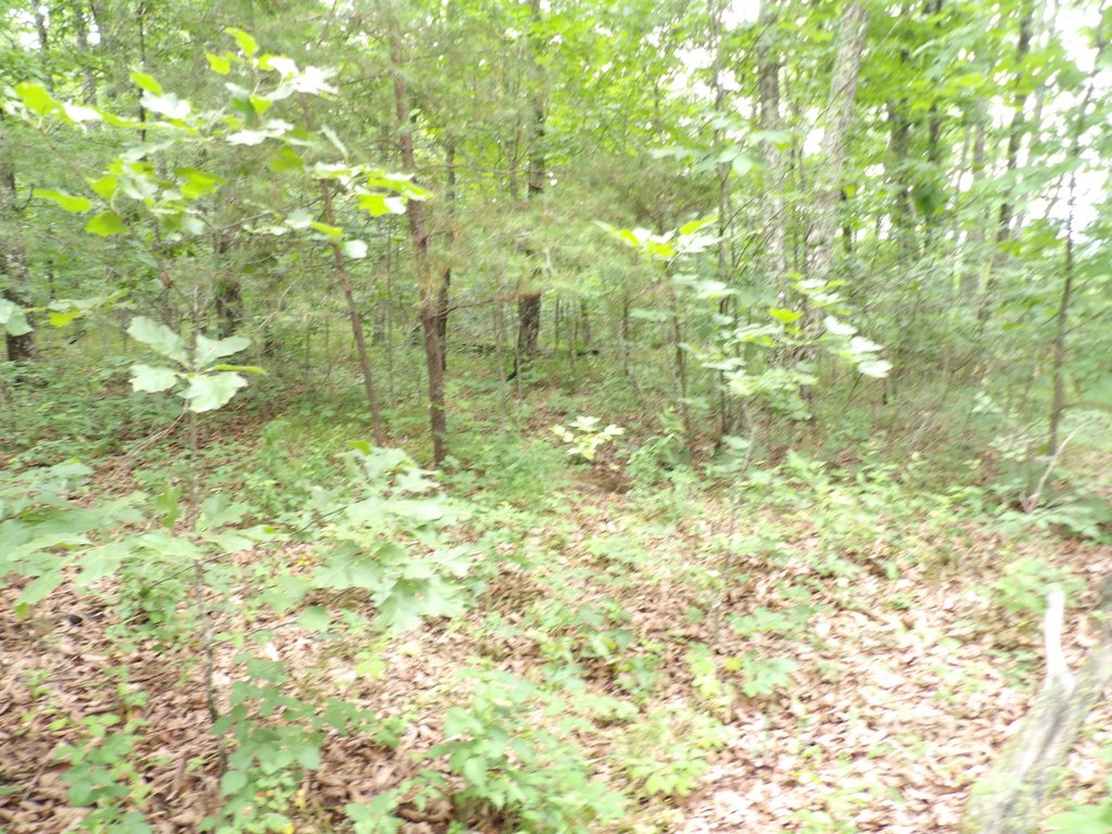 Picture 7