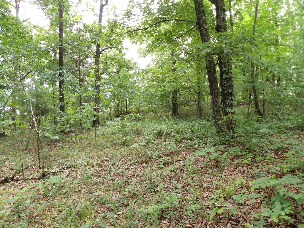 Picture 6