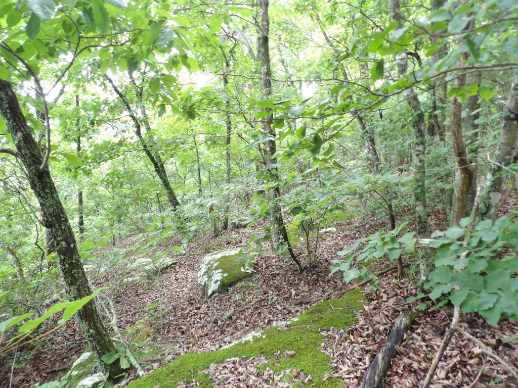 Picture 16
