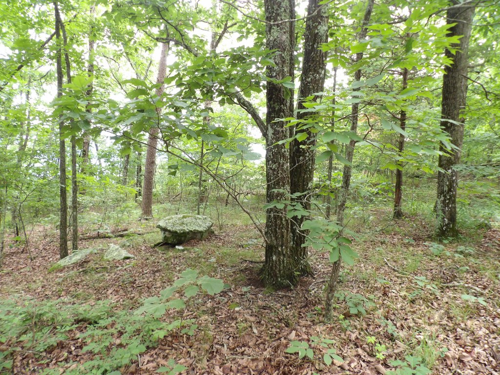 Picture 9