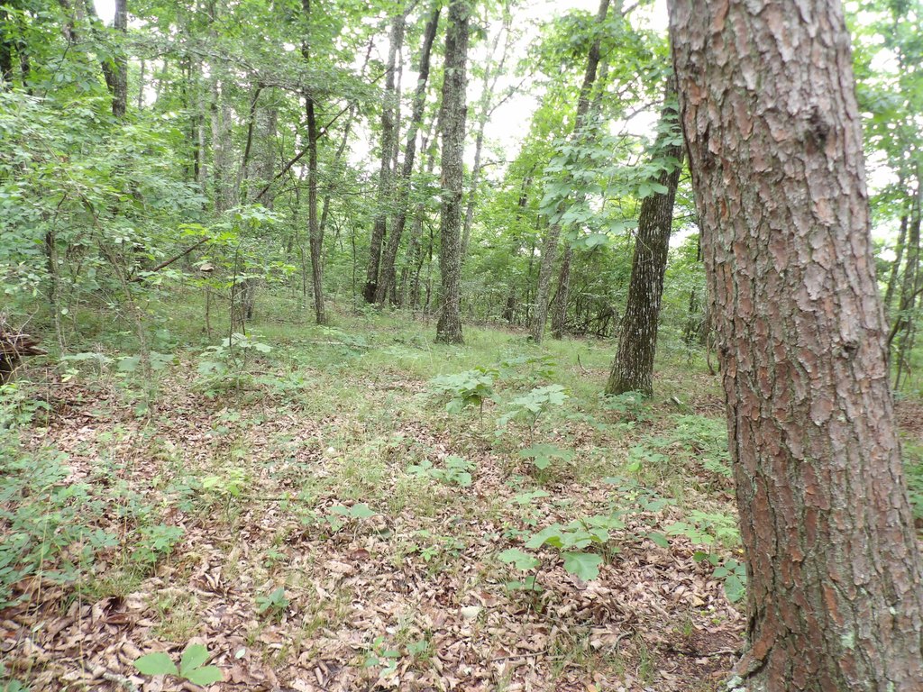 Picture 8