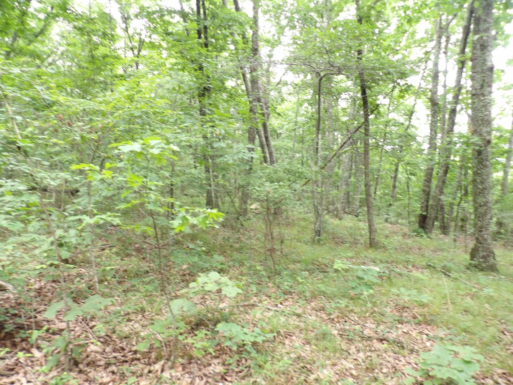 Picture 10