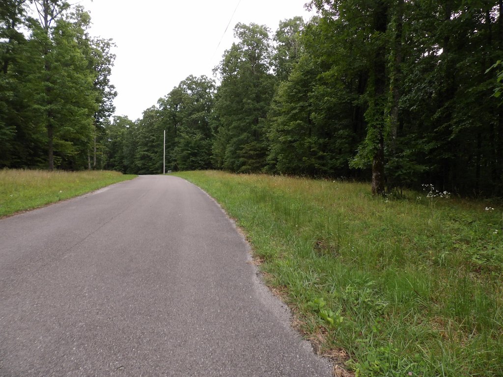Picture 23