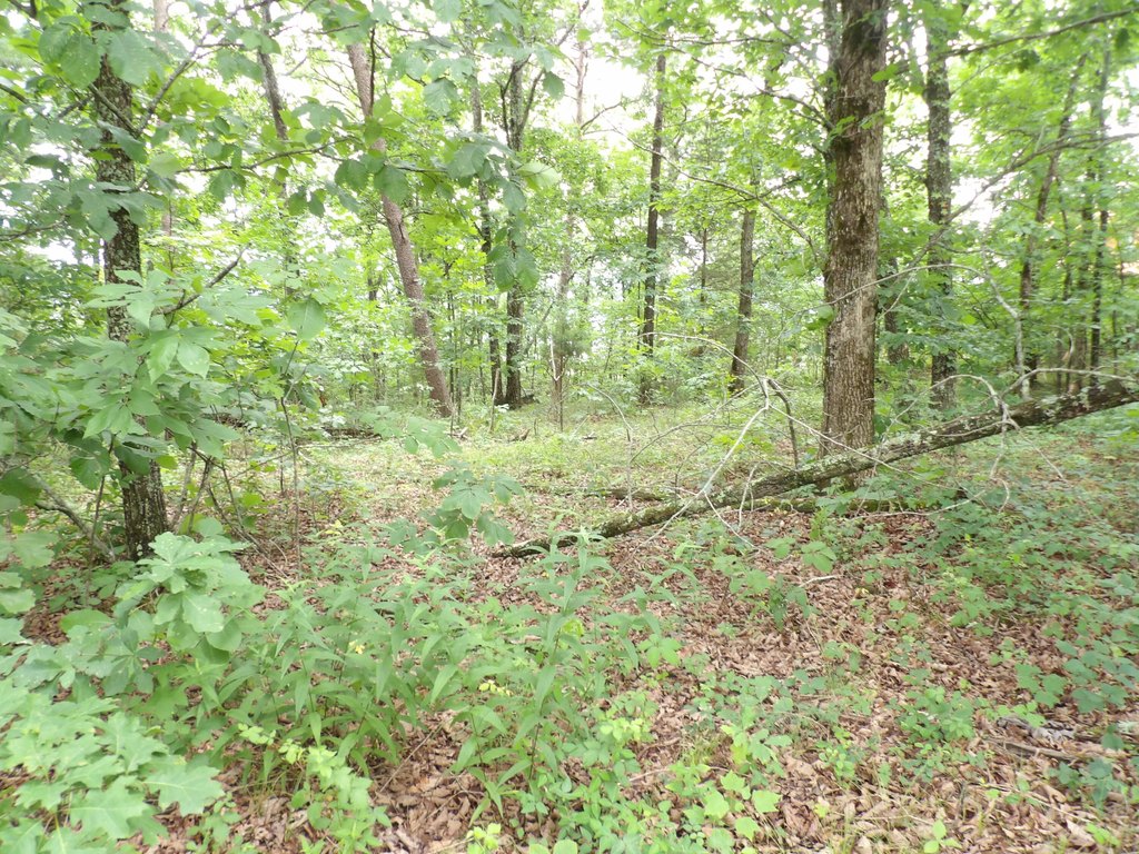 Picture 4