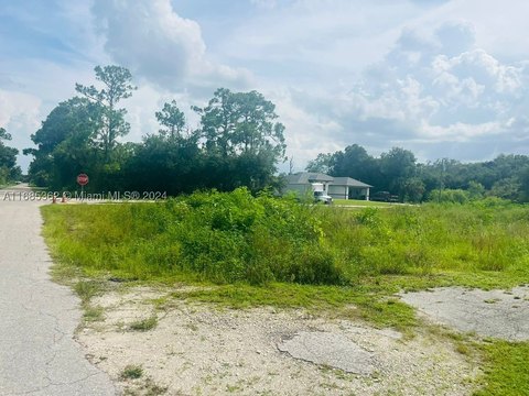 Lehigh Acres Buildable Residential Lot